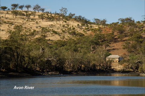 Bilya Walk Track - Accommodation Ballina 2