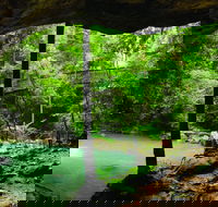 Buderim - Accommodation Ballina