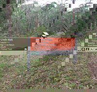 Carter's Mill Picnic and Camping Area - Accommodation Ballina