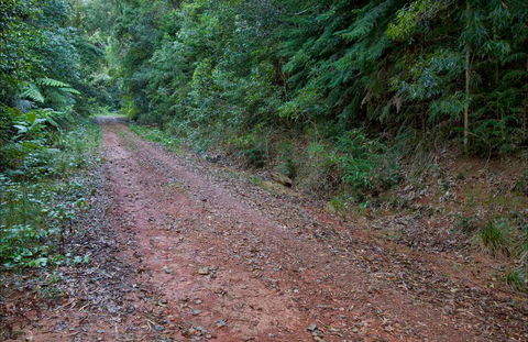 Cascade Mountain Bike Trail - Accommodation Ballina 0