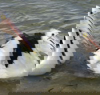 Chinaman Wells - Accommodation Ballina