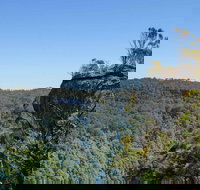 Cooks Nose Walking Track - Accommodation Ballina