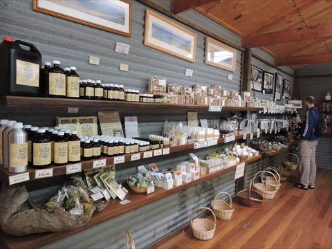 Emu Ridge Eucalyptus Pty Ltd - Accommodation Ballina 0