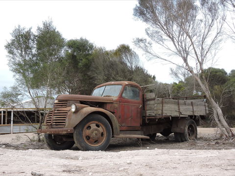 Emu Ridge Eucalyptus Pty Ltd - Accommodation Ballina 2