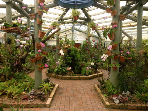 Family Fun In Mackay City - Accommodation Ballina 1