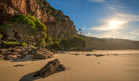 Greenglade Picnic Area - Accommodation Ballina 0