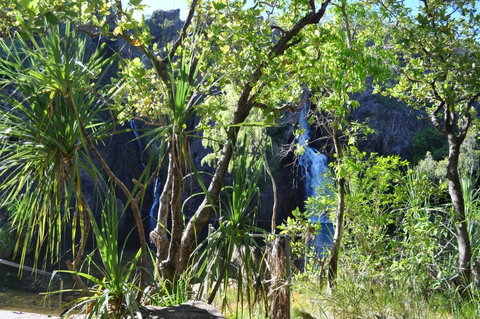 Manngarre Rainforest Walk - Accommodation Ballina 1