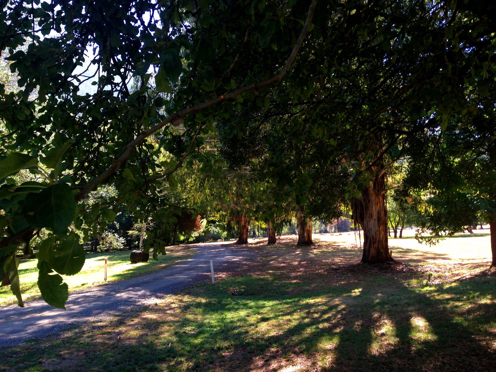 Mirimbah VIC Accommodation Ballina