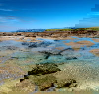 Moonee Beach trail - Accommodation Ballina