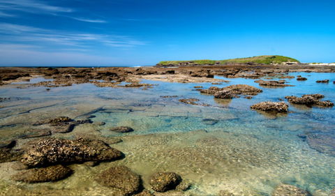 Moonee Beach Trail - Accommodation Ballina 0