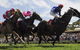 Moruya Racecourse - thumb 0
