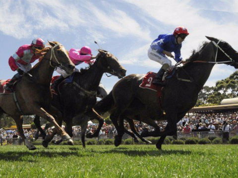 Moruya Racecourse - Accommodation Ballina 0