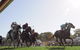 Moruya Racecourse - thumb 1
