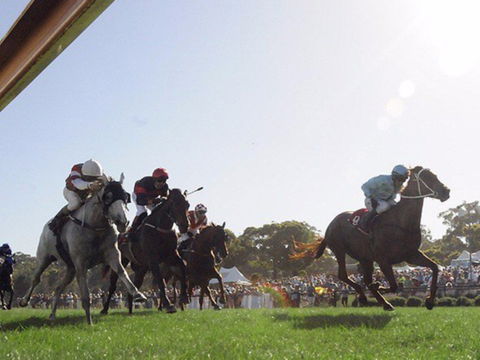 Moruya Racecourse - Accommodation Ballina 1