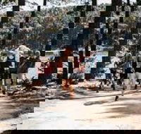 Myponga Reservoir Trail - Accommodation Ballina