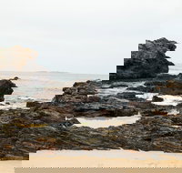 Mystery Bay Short Walk - Accommodation Ballina