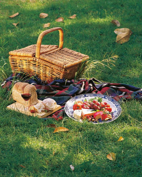 Nature And Foodies Trail - Accommodation Ballina 2