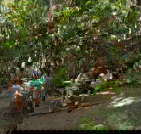 Palms picnic area - Accommodation Ballina