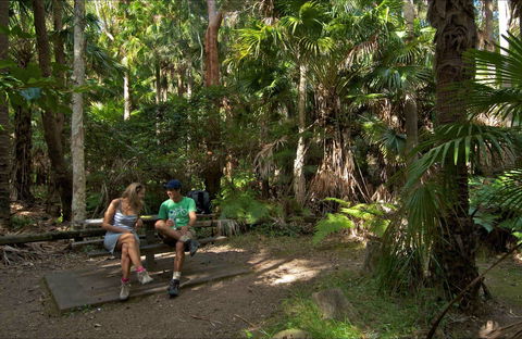 Palms Picnic Area - Accommodation Ballina 0