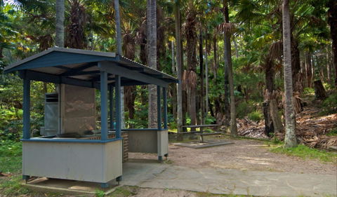 Palms Picnic Area - Accommodation Ballina 1