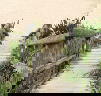 Pebbly Beach to Snake Bay walking track - Accommodation Ballina