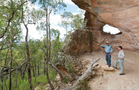 Pilliga National Park - Accommodation Ballina 0