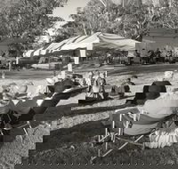 Pioneer Park - Accommodation Ballina