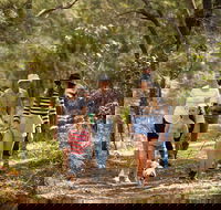 Russell Island Canaipa - Accommodation Ballina