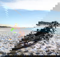 St Helens Mountain Bike Trails - Accommodation Ballina