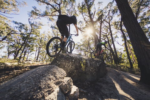 St Helens Mountain Bike Trails - Accommodation Ballina 1