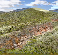 Sundown National Park - Accommodation Ballina