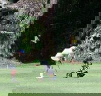 Teven Valley Golf Course - Accommodation Ballina