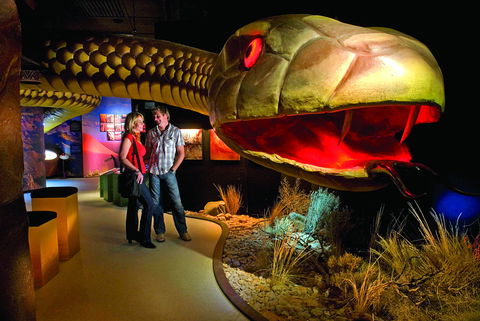 Wadlata Outback Centre - Accommodation Ballina 0