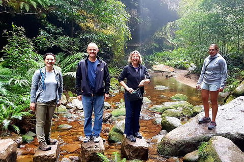 Private Blue Mountains Day Tour Including Wildlife Park - Accommodation Ballina 2