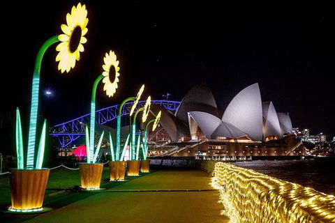 Vivid 90-Minute Sydney Harbour Intimate Catamaran Cruise With Canapes - Accommodation Ballina 4