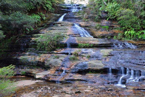 Blue Mountains Day Trip From Sydney With Amazing Lookouts (Private Tour) - Accommodation Ballina 6