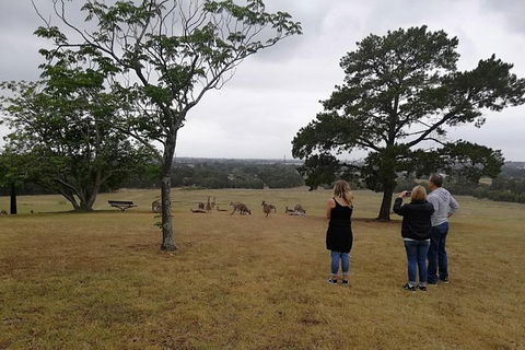 Blue Mountains Day Trip From Sydney With Amazing Lookouts (Private Tour) - Accommodation Ballina 1