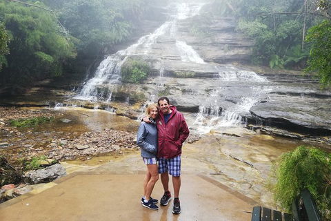 Blue Mountains Day Trip From Sydney With Amazing Lookouts (Private Tour) - Accommodation Ballina 9