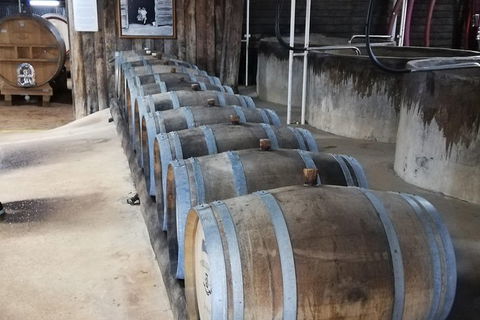 Hunter Valley Wine & Wildlife Tour (Private Tour From Sydney) - Accommodation Ballina 19