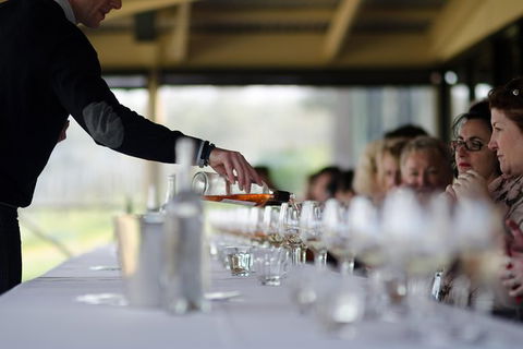 Hunter Valley Wine & Wildlife Tour (Private Tour From Sydney) - Accommodation Ballina 8