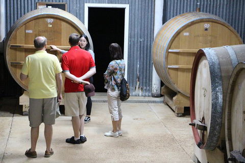 Hunter Valley Wine & Wildlife Tour (Private Tour From Sydney) - Accommodation Ballina 10