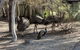 Hunter Valley Wine & Wildlife Tour (Private Tour From Sydney) - thumb 13