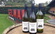 Hunter Valley Wine & Wildlife Tour (Private Tour From Sydney) - thumb 20