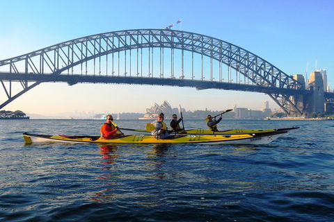 Beautiful Sydney Sunriser Kayaking Tour - Accommodation Ballina 5