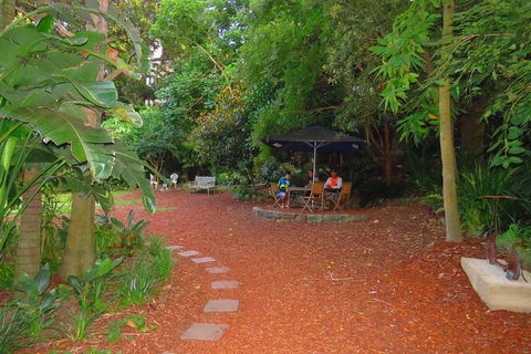 Beautiful Sydney Sunriser Kayaking Tour - Accommodation Ballina 3