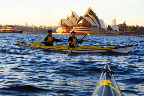Beautiful Sydney Sunriser Kayaking Tour - Accommodation Ballina 4
