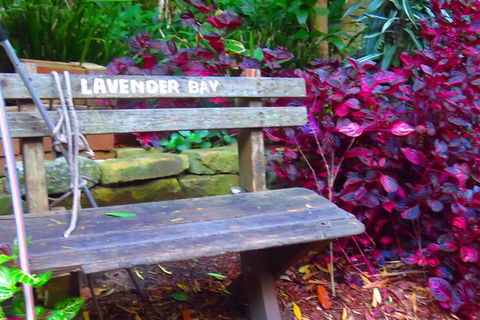 Beautiful Sydney Sunriser Kayaking Tour - Accommodation Ballina 7