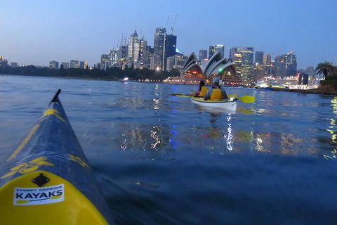 Beautiful Sydney Sunriser Kayaking Tour - Accommodation Ballina 6