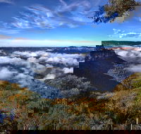 Unforgettable Blue Mountains Day Tour - Accommodation Ballina