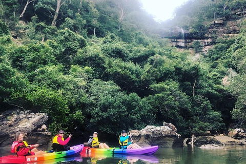 Hawkesbury River Kayak Adventure - Accommodation Ballina 9